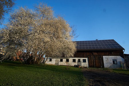 Scheune mit Baum &ndash; (10.04.2020, U. Buescher &copy;&nbsp;VGN GmbH)