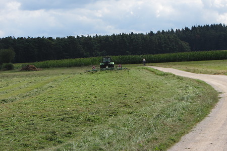 Raubersried-Röthenbach &ndash; (31.05.2016, schreibwerk &copy;&nbsp;schreibwerk)