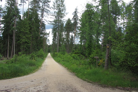 Raubersried &ndash; (31.05.2016, schreibwerk &copy;&nbsp;schreibwerk)