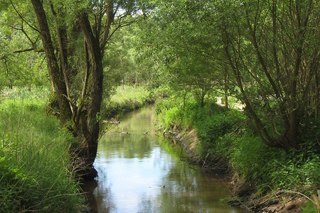 Bachidylle &ndash; (31.05.2016, schreibwerk &copy;&nbsp;schreibwerk)