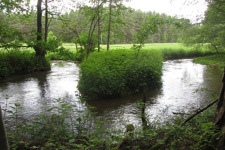 Weg nach Furth-Hembach &ndash; (31.05.2016, schreibwerk &copy;&nbsp;schreibwerk)