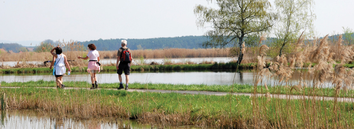 Unterwegs &ndash;  (VGN &copy;&nbsp;VGN GmbH, Landratsamt Erlangen-Höchstadt,)