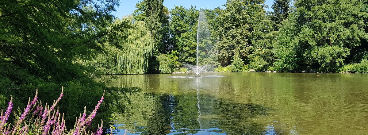 Röhrensee mit Bootsverleih &ndash;  (16.07.2019, S. Dassler &copy;&nbsp;VGN GmbH)