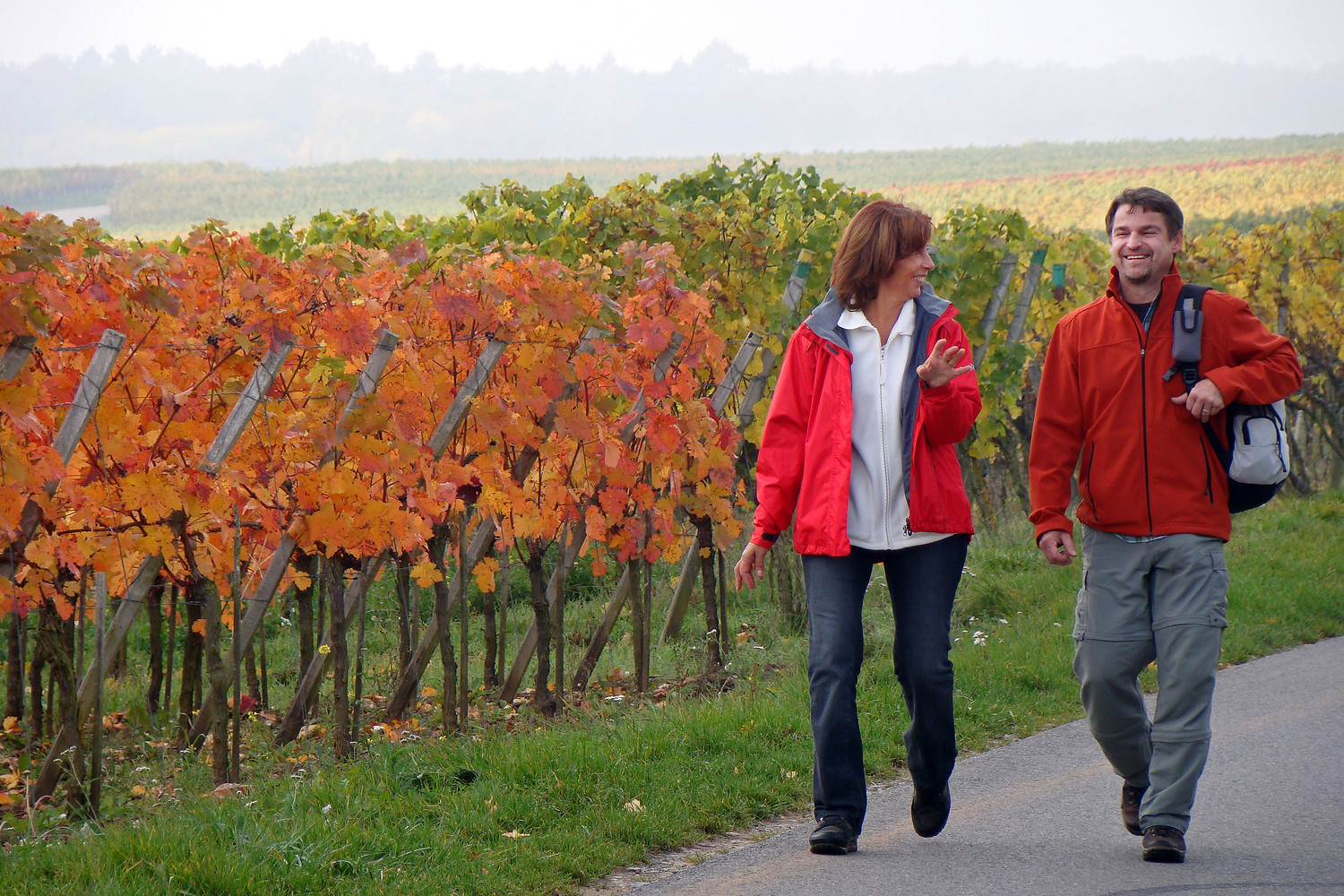 An den Weinbergen vorbei &ndash;  (VGN &copy;&nbsp;VGN GmbH)