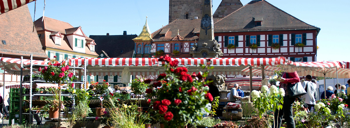 Regionalmarkt &ndash;  (04.02.2016, Tourist-Info Schwabach &copy;&nbsp;Tourist-Info Schwabach)