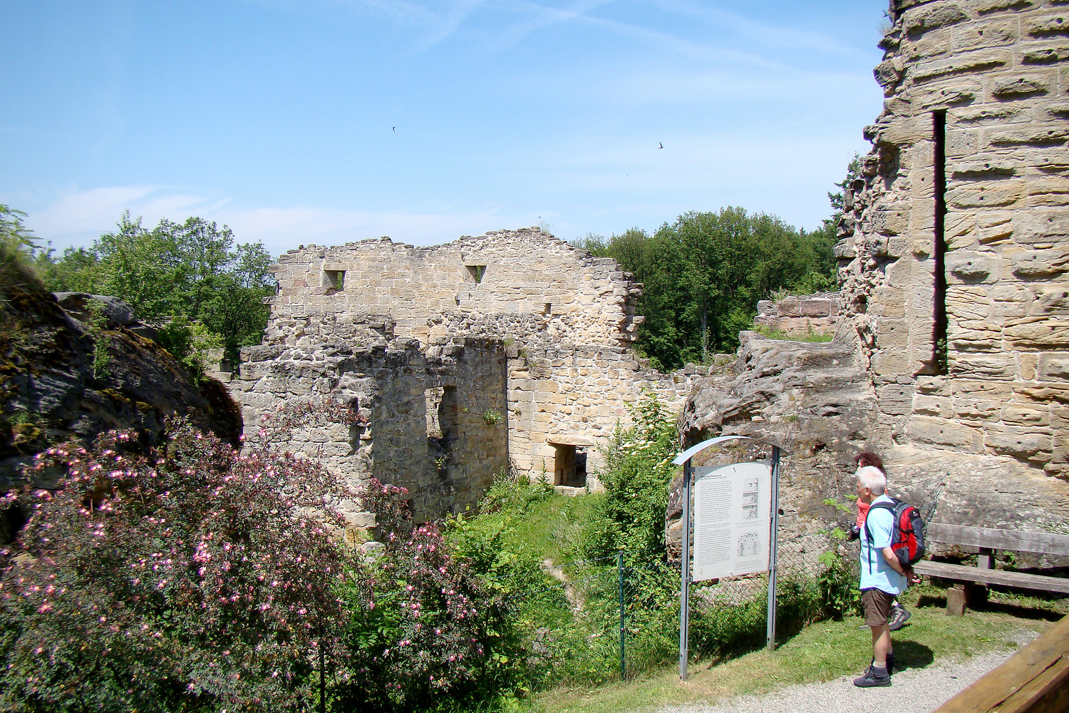 Ruine Lichtenstein &ndash;  (11.06.2010, VGN &copy;&nbsp;VGN GmbH)