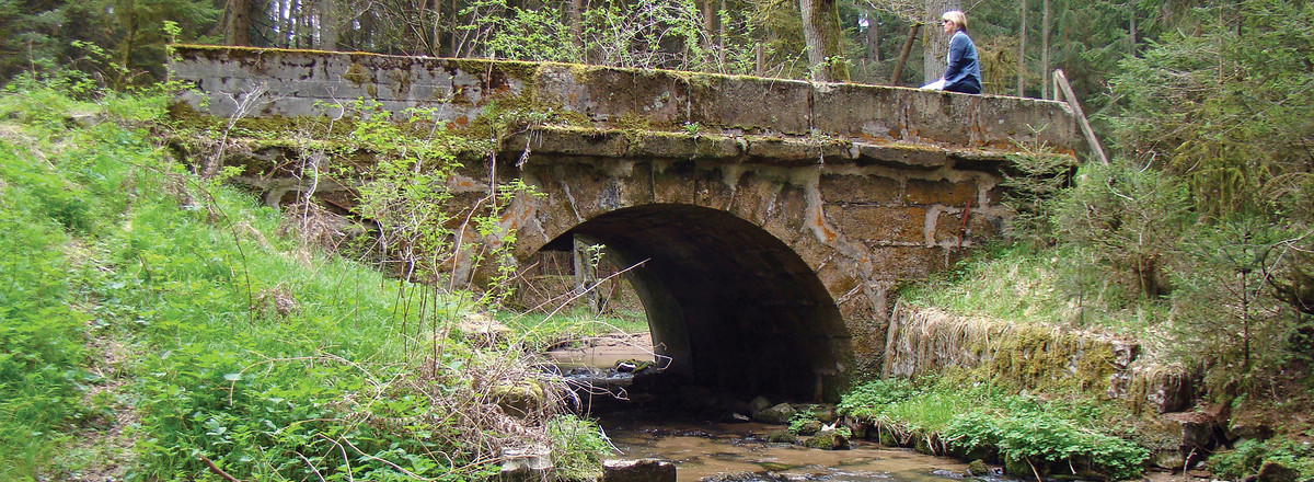 Sandsteinbrücke &ndash;  (30.04.2012, VGN &copy;&nbsp;VGN GmbH)