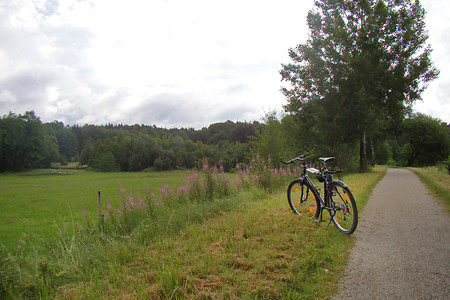 Die alte Bahntrasse heute &ndash; (26.06.2012, VGN &copy;&nbsp;VGN GmbH)