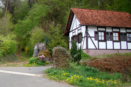 Abzweigung &ndash; (30.04.2012, VGN &copy;&nbsp;VGN GmbH)