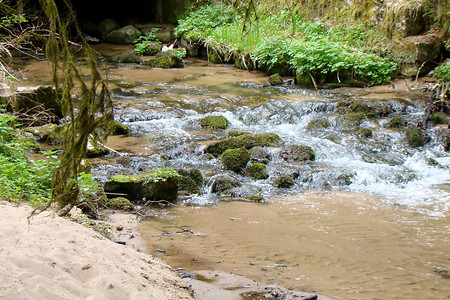 Im Röthenbachtal &ndash; (30.04.2012, VGN &copy;&nbsp;VGN GmbH)