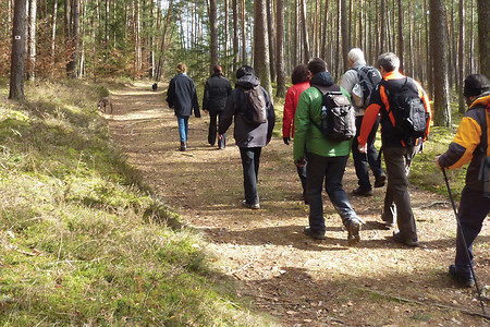 Waldpfad &ndash; (27.04.2012, VGN &copy;&nbsp;VGN GmbH)