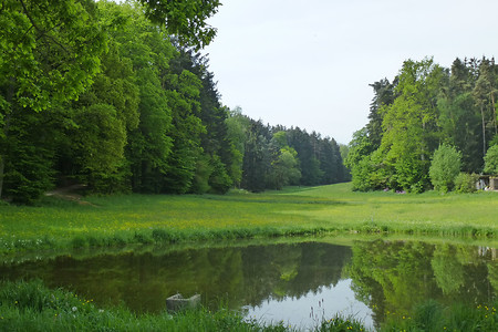 Weiher vor Oberbüchlein &ndash; (06.05.2014, VGN &copy;&nbsp;VGN GmbH)