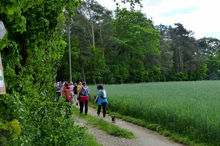 Teilstück des Jakobsweges &ndash; (20.05.2013, VGN &copy;&nbsp;VGN GmbH)
