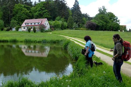 Weiher vor Unterbüchlein &ndash; (20.05.2013, VGN &copy;&nbsp;VGN GmbH)