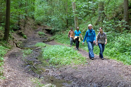 Klingengraben &ndash; (20.05.2013, VGN &copy;&nbsp;VGN GmbH)