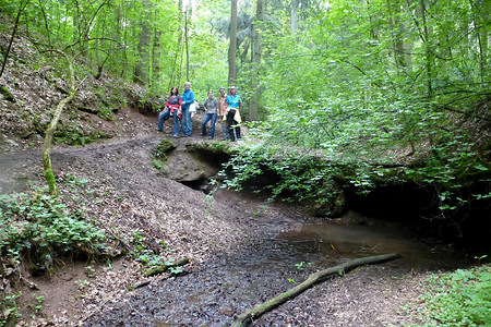 Im Klingengraben &ndash; (20.05.2013, VGN &copy;&nbsp;VGN GmbH)