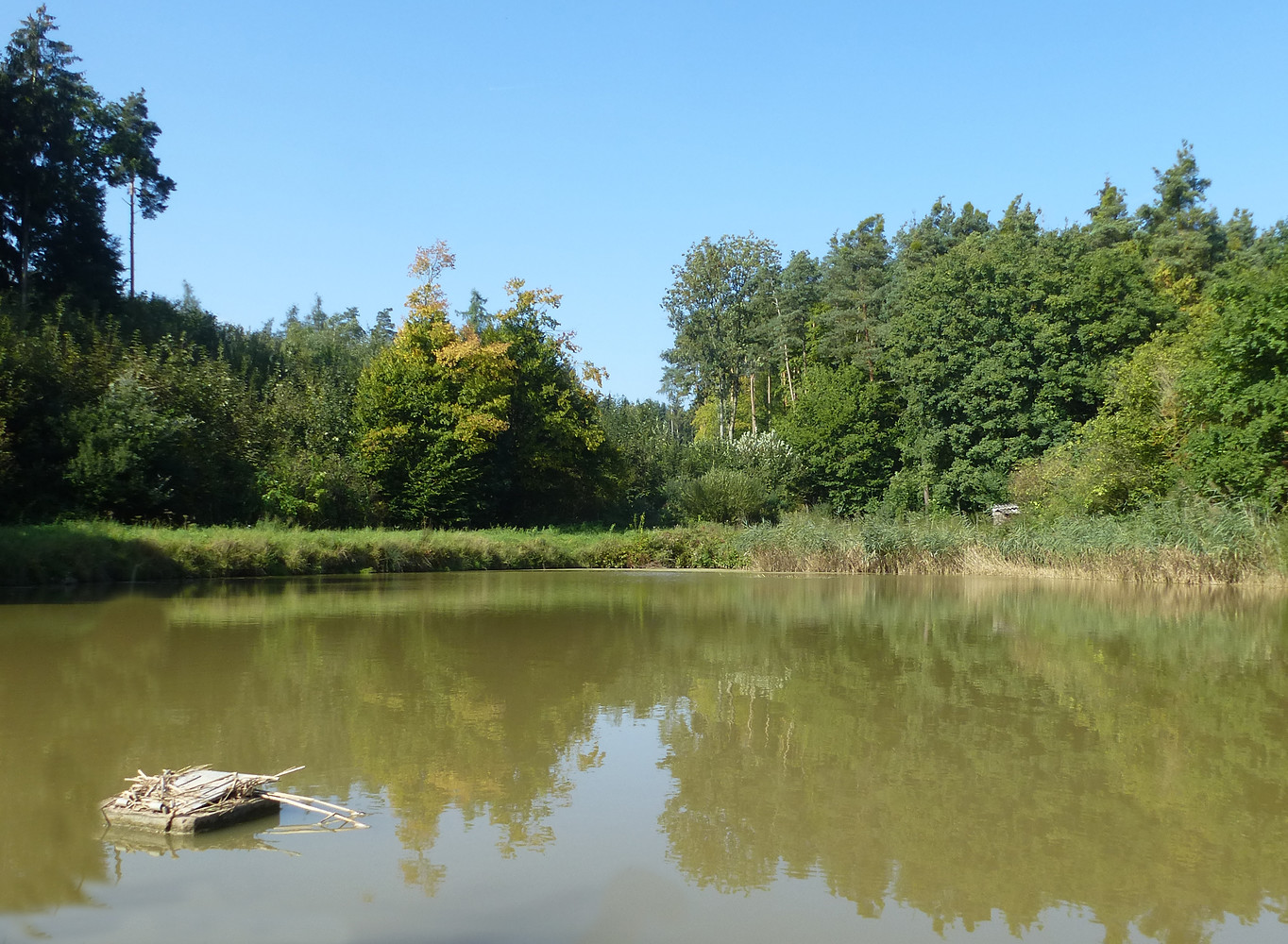 Im Karpfenland &ndash;  (VGN &copy;&nbsp;VGN GmbH)