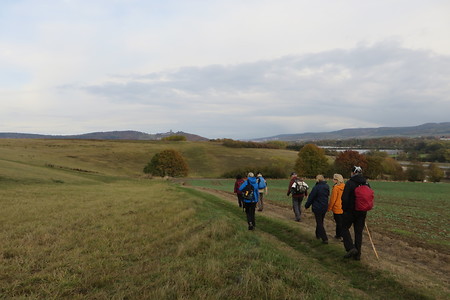 Wandergruppe &ndash; (20.02.2017, VGN &copy;&nbsp;VGN GmbH)