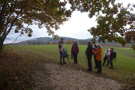 Rast &ndash; (20.02.2017, VGN &copy;&nbsp;VGN GmbH)