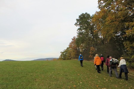 Vor Nedensdorf &ndash; (20.02.2017, VGN &copy;&nbsp;VGN GmbH)