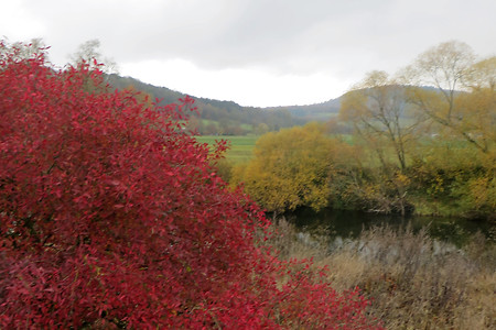 Am Main entlang &ndash; (07.02.2017, VGN &copy;&nbsp;VGN GmbH)