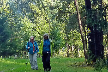 Waldpassage &ndash; (09.02.2018, VGN &copy;&nbsp;VGN GmbH)