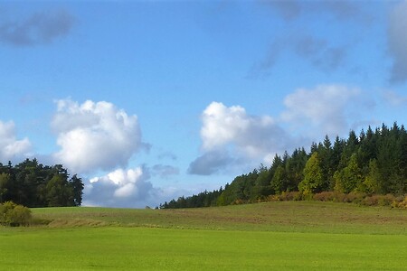 Herbststimmung &ndash; (09.02.2018, VGN &copy;&nbsp;VGN GmbH)
