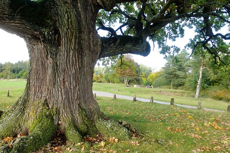 Donnerwetter... &ndash; (09.02.2018, VGN &copy;&nbsp;VGN GmbH)