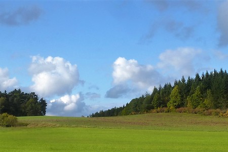Herbststimmung &ndash; (09.02.2018, VGN &copy;&nbsp;VGN GmbH)
