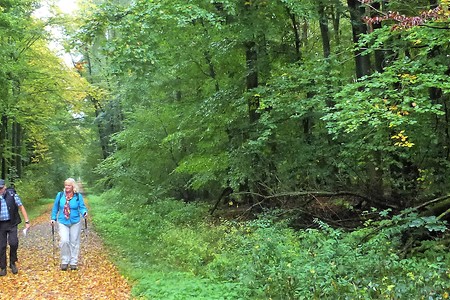 Höhenweg &ndash; (09.02.2018, VGN &copy;&nbsp;VGN GmbH)