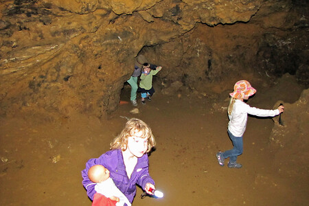 In der Petershöhle &ndash; (26.04.2014, VGN &copy;&nbsp;VGN GmbH)