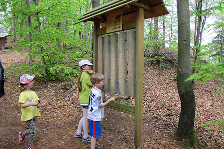 Baumtelefon &ndash; (26.04.2014, VGN &copy;&nbsp;VGN GmbH)