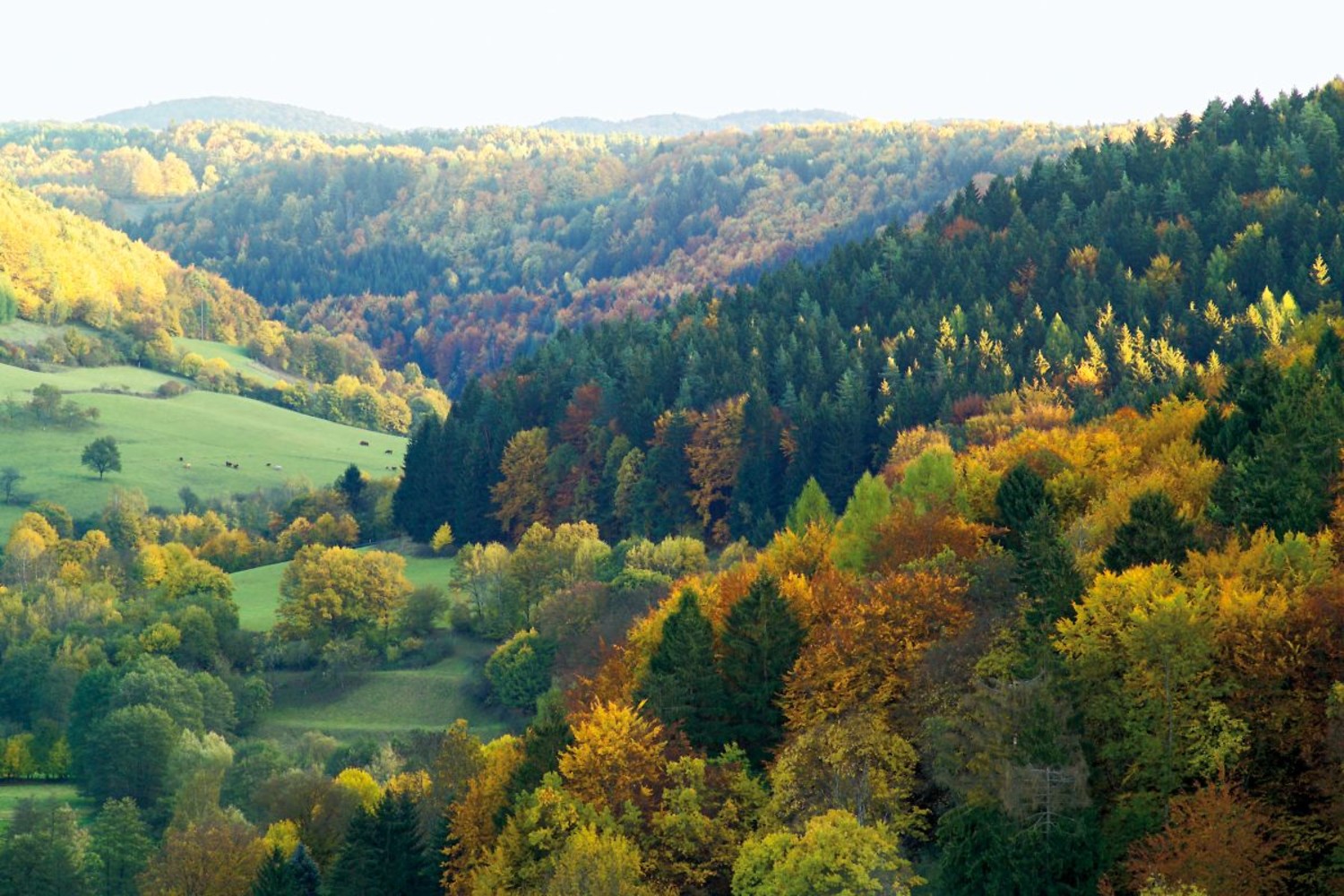 Blick auf Trubachtal &ndash;  (Hub &copy;&nbsp;Franken Tourismus)
