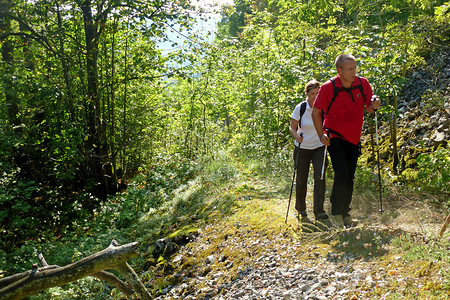 Hinauf zur Geißkirche &ndash; (07.09.2013, VGN &copy;&nbsp;VGN GmbH)