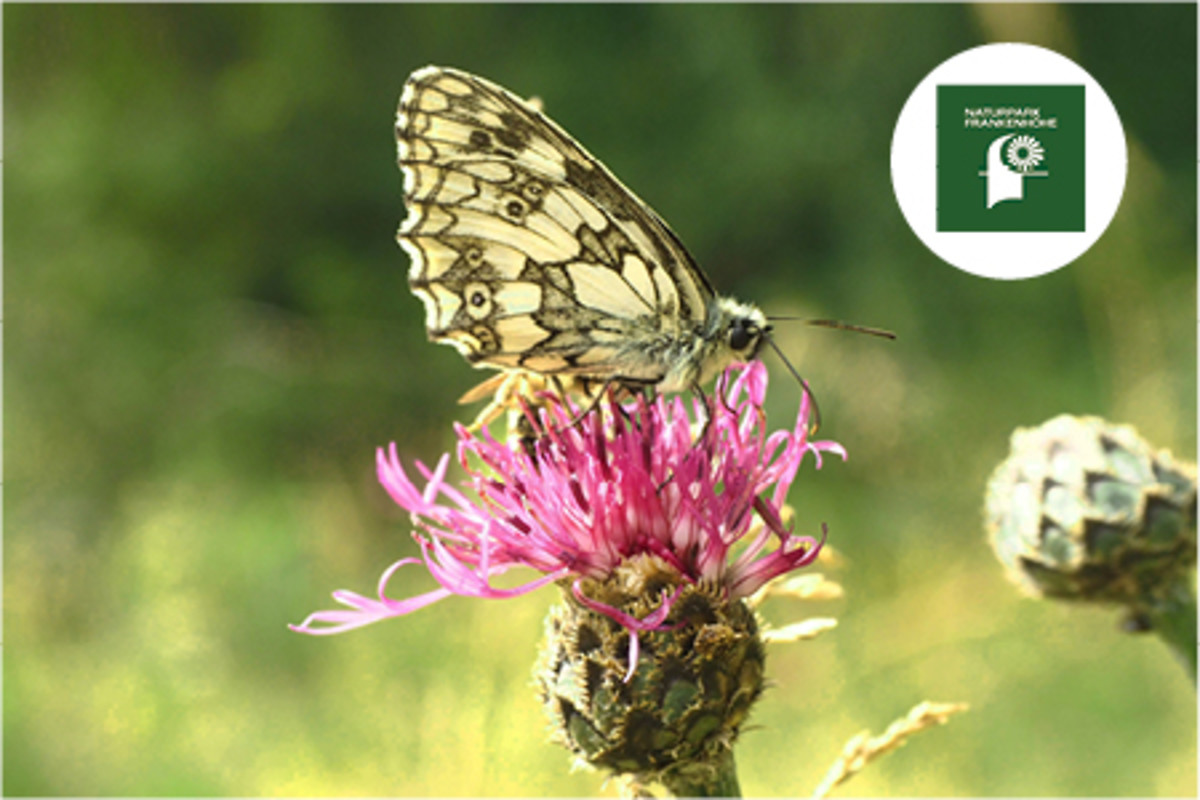 Naturpark Frankenhöhe Teaser