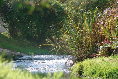 Hammerbach in Offenhausen &ndash; (VGN &copy;&nbsp;VGN GmbH und örtliche Gemeinden)