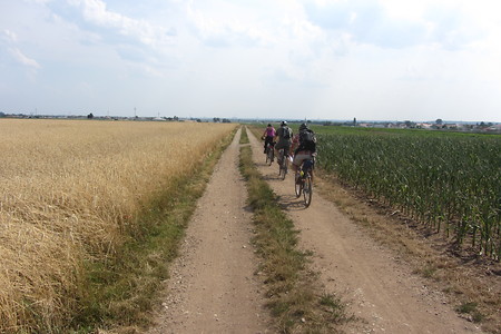 Rückweg nach Eltersdorf &ndash; (VGN &copy;&nbsp;VGN GmbH)