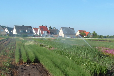 Bewässerungsanlagen &ndash; (VGN &copy;&nbsp;VGN GmbH)