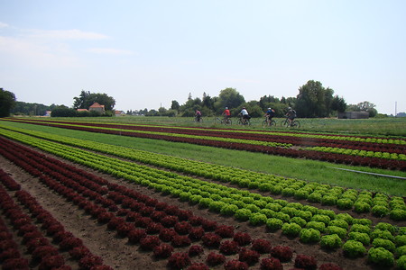 Durch die Felder &ndash; (VGN &copy;&nbsp;VGN GmbH)