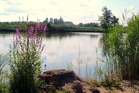 Großgründlacher See &ndash; (VGN &copy;&nbsp;VGN GmbH)