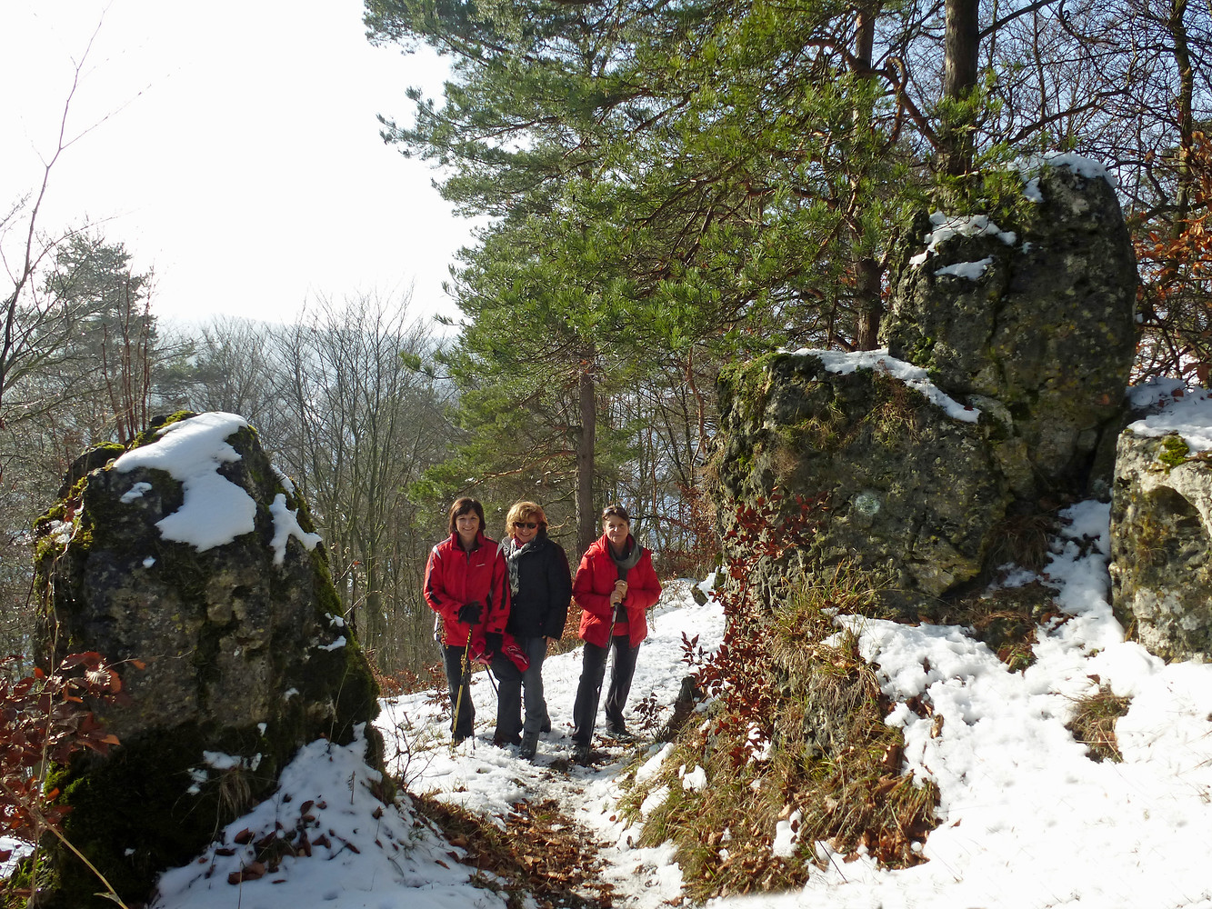 Auf dem Hirtenberg &ndash;  (01.02.2014, VGN &copy;&nbsp;VGN GmbH)