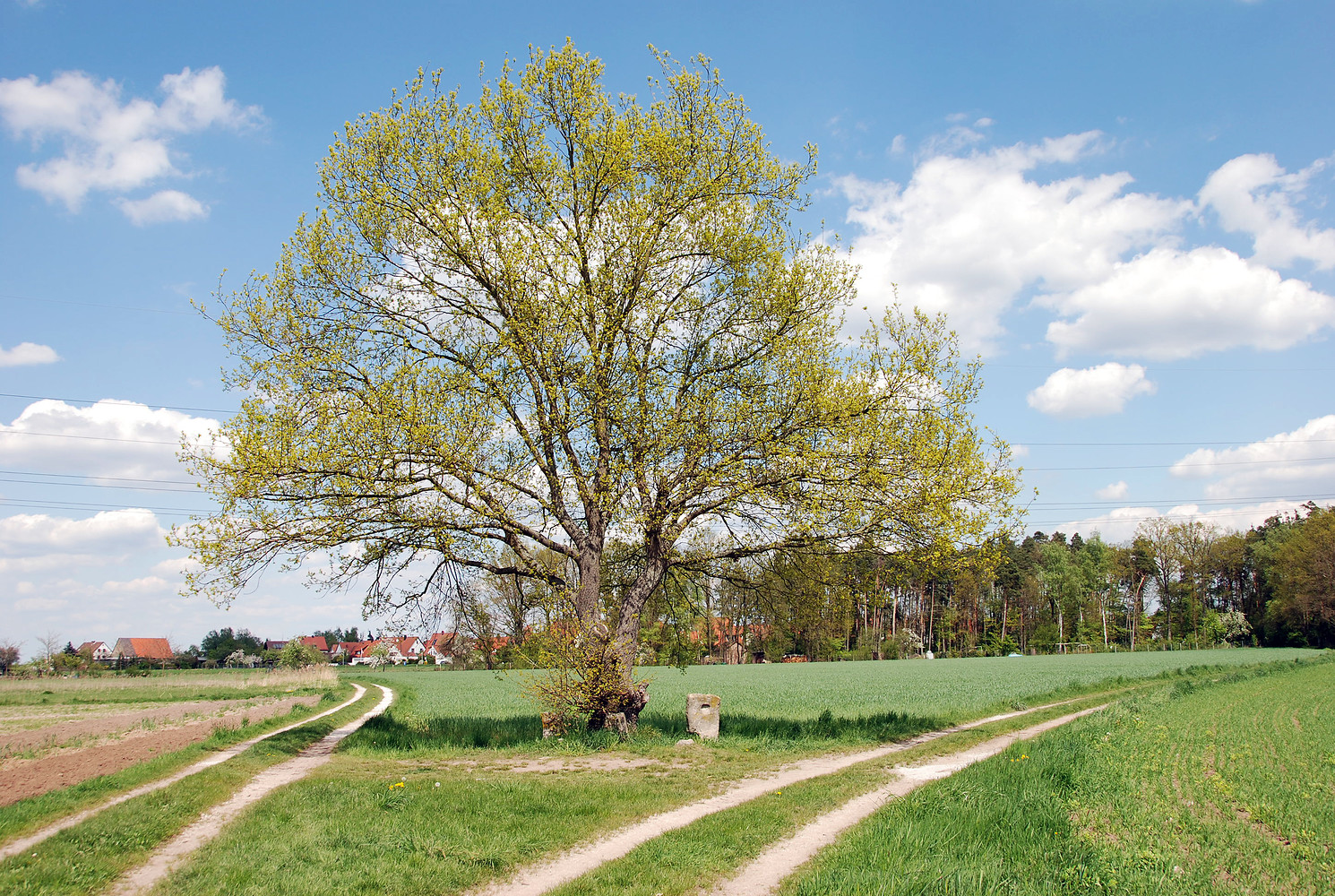 Unterwegs &ndash;  (VGN &copy;&nbsp;VGN GmbH)