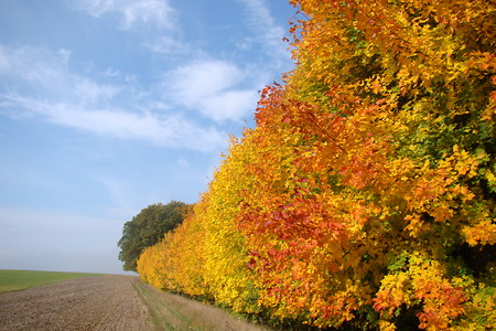 Herbststimmung &ndash; (VGN &copy;&nbsp;VGN GmbH)