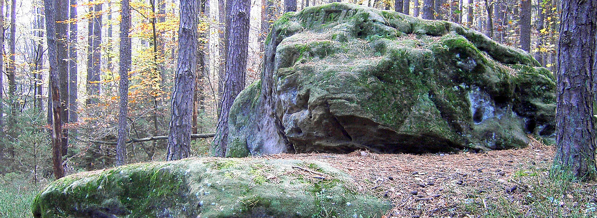 Unterwegs &ndash;  (VGN &copy;&nbsp;VGN GmbH)