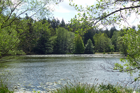 Biotop &ndash; (11.05.2014, VGN &copy;&nbsp;VGN GmbH)