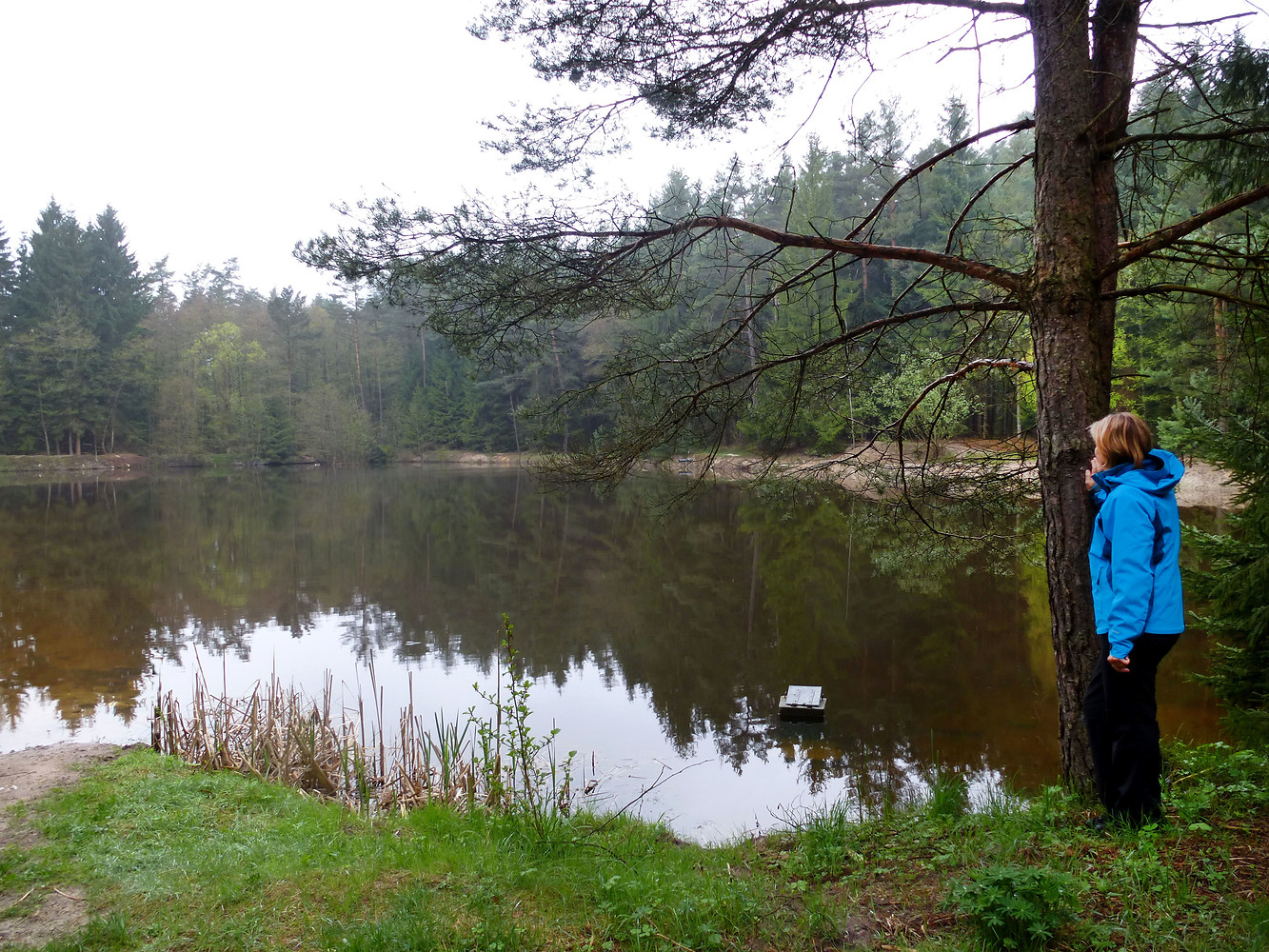 Neu angelegter Weiher &ndash;  (28.04.2013, VGN &copy;&nbsp;VGN GmbH)