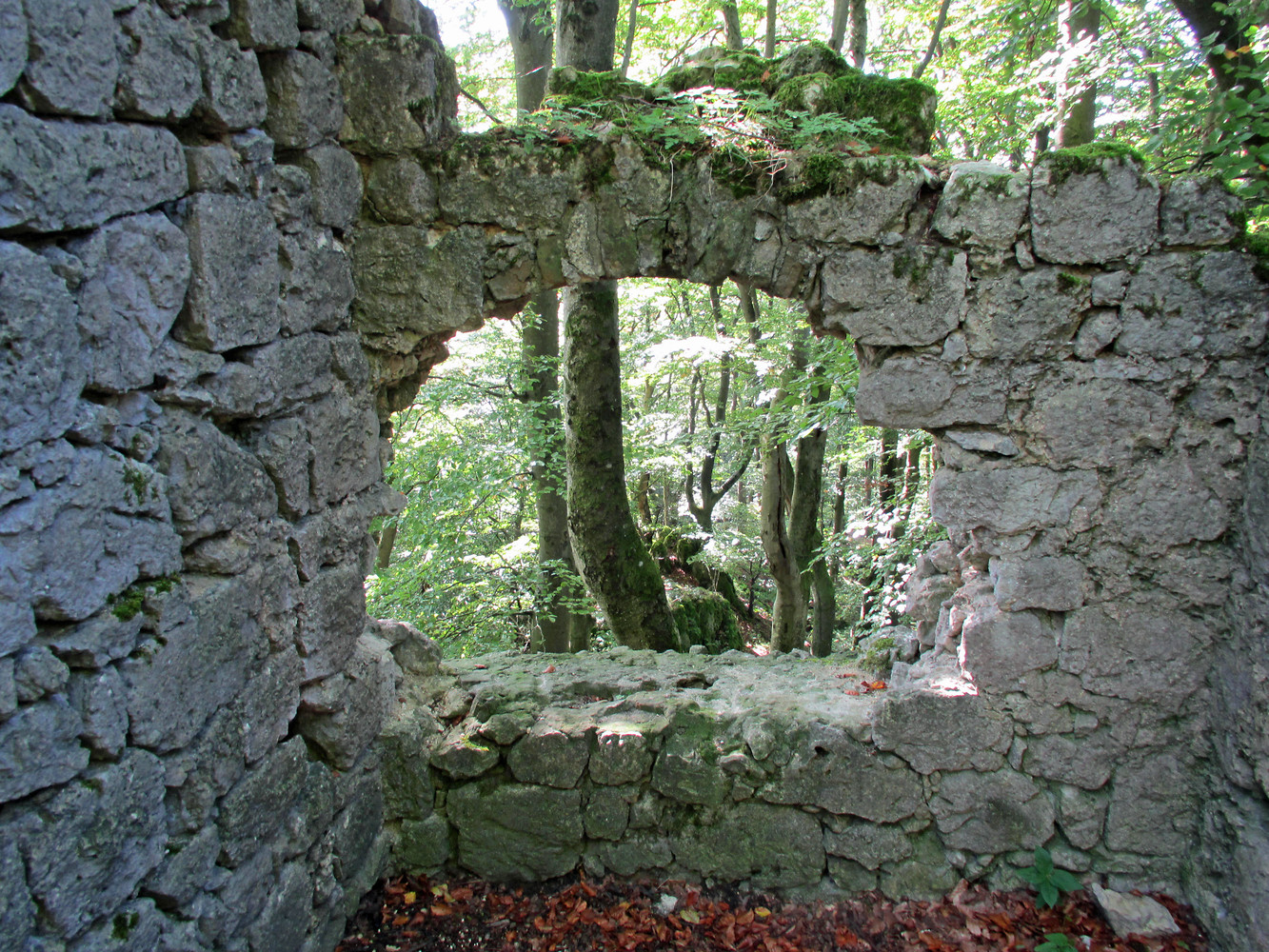 Ruine Adelburg &ndash;  (VGN &copy;&nbsp;VGN GmbH)