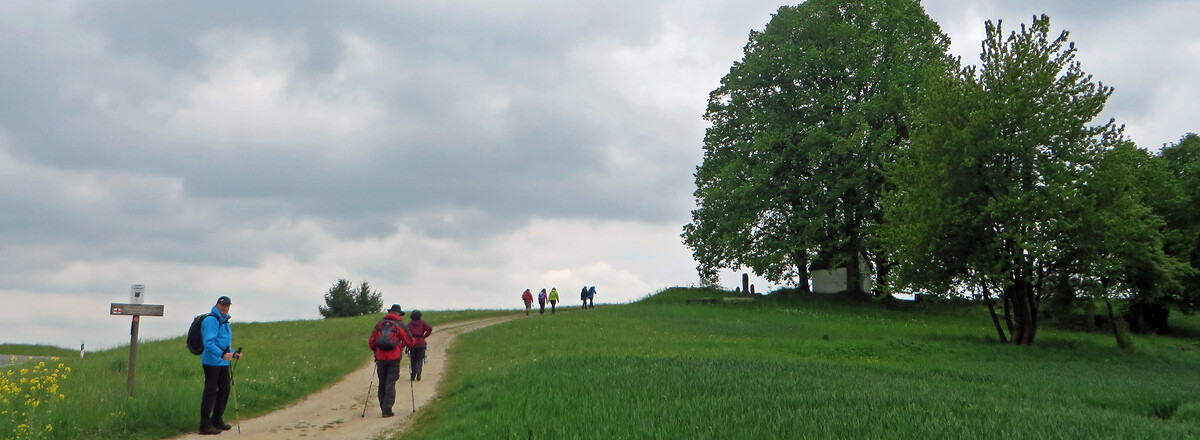 Zur Penzenreuther Kapelle &ndash;  (26.05.2016, VGN &copy;&nbsp;VGN GmbH)