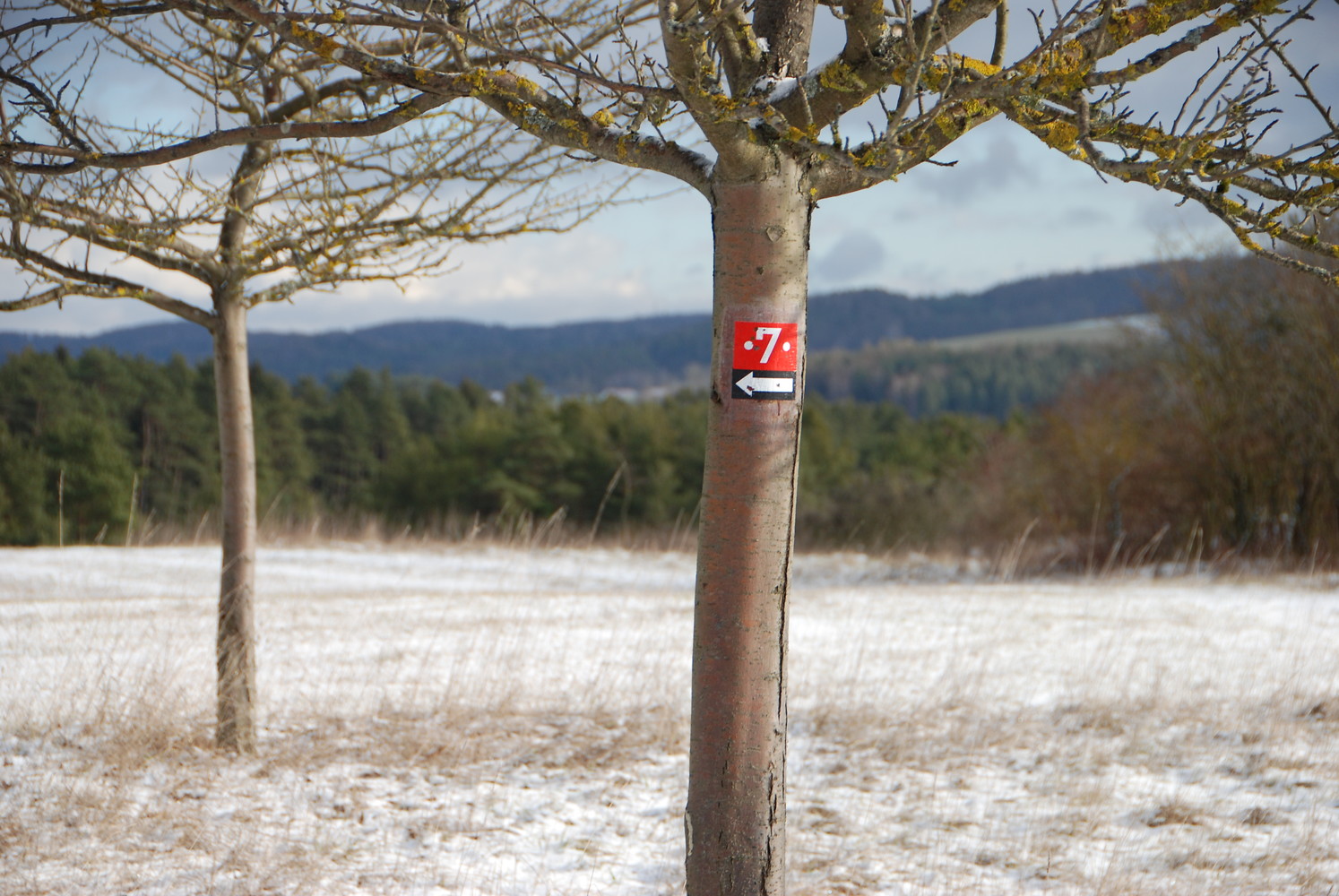Wegweiser am Baum &ndash;  (18.01.2019, U. Buescher &copy;&nbsp;VGN GmbH)