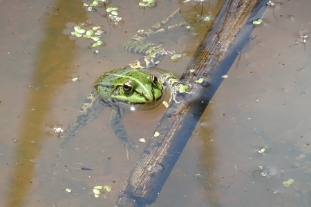 Küss mich &ndash; (18.02.2019, VGN S.Daßler &copy;&nbsp;VGN GmbH)